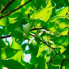 180501.jpg