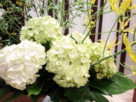 190531-1.jpg
