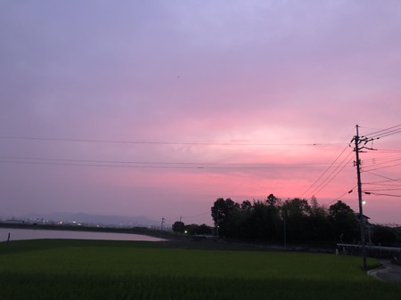 夕日.jpg