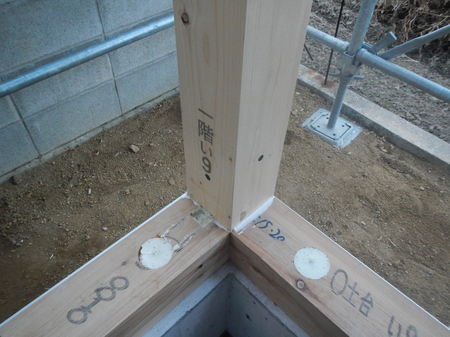 DSCN4408.JPG