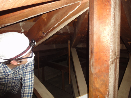 林邸小屋１.JPG