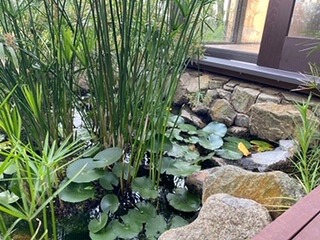 IMG_1256.jpg