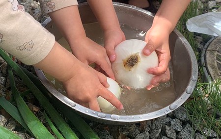 S__130351116 2.jpg