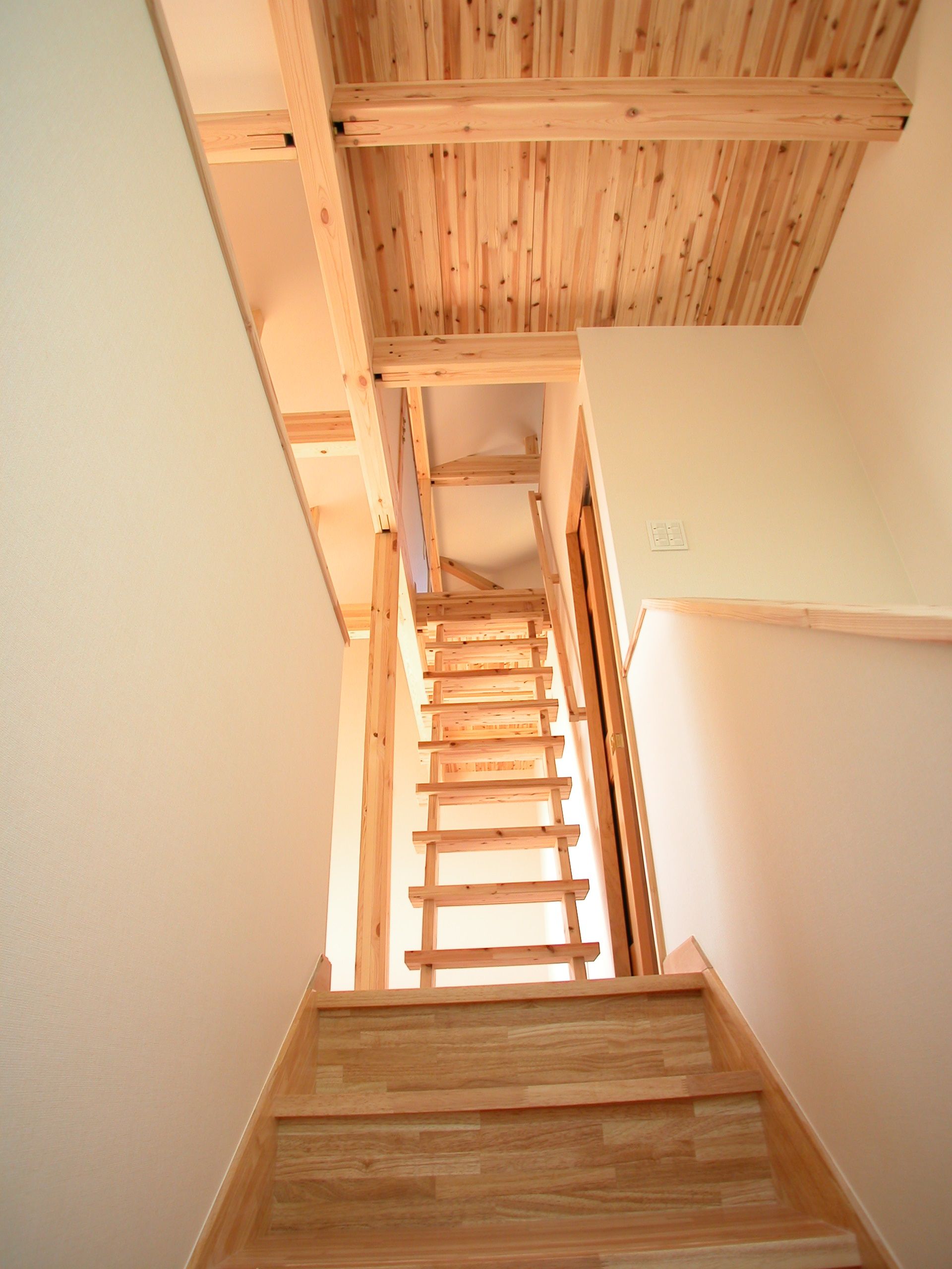 DSCN0429.jpg