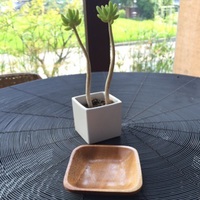 メンテ2.jpg