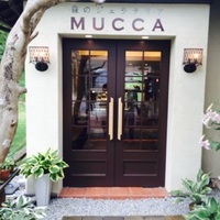 mucca.jpg