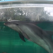 屋島1.jpg
