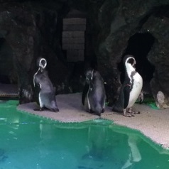 屋島4.jpg