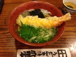 初詣うどん.JPG