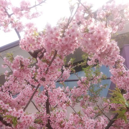 16.03.11.jpg