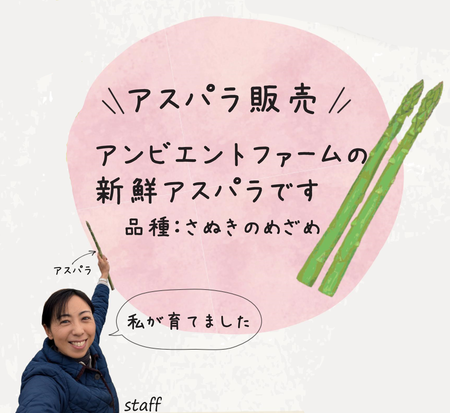 アスパラ.png